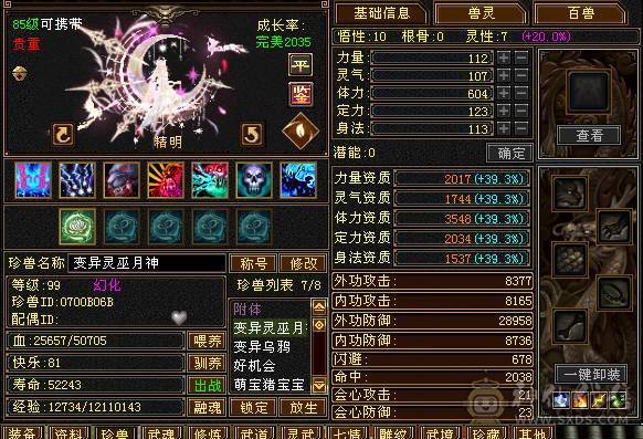 纯5天山  带击几只宝宝 不讲价 自己可以去对比下