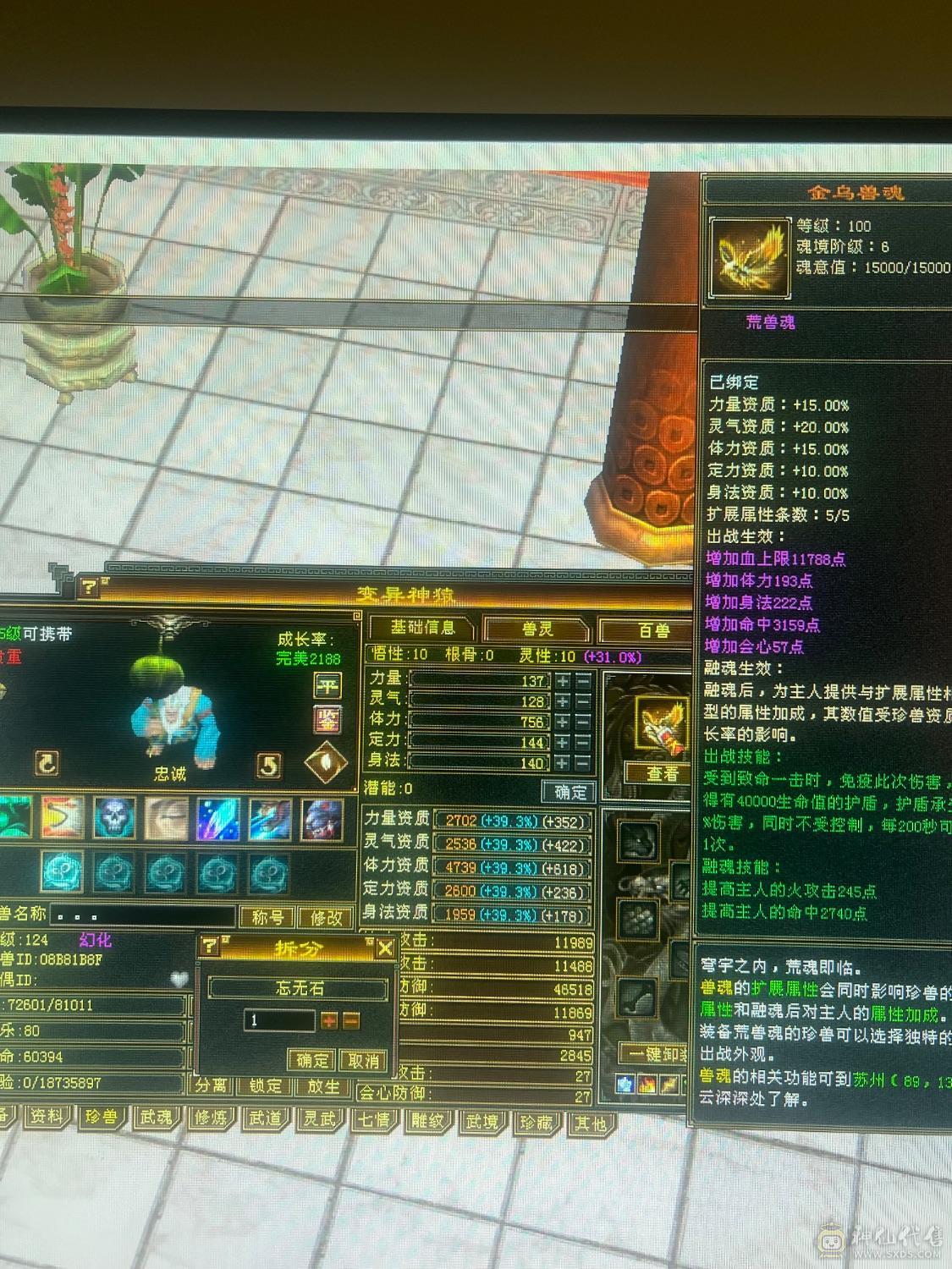 退游，带全部，就是帅，宝宝值6.7百