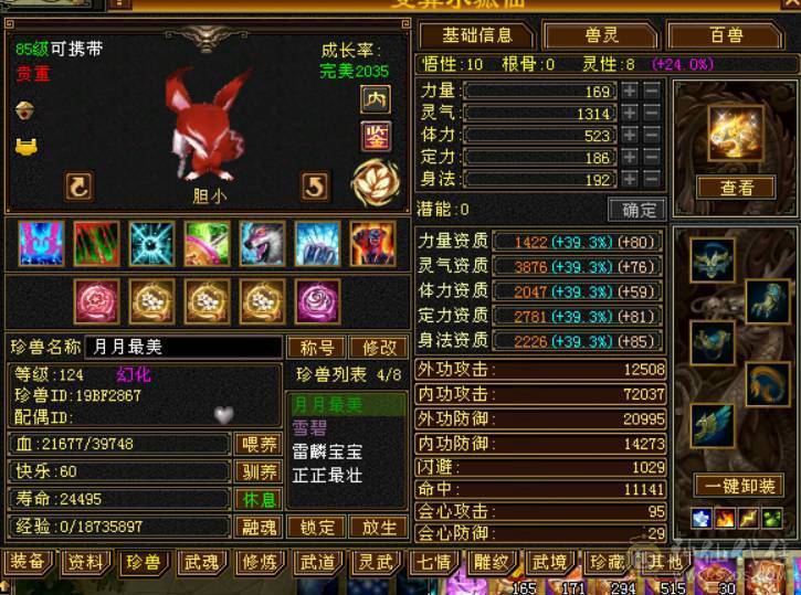 晴天推荐：不议价！！！极限6级三修气武当带拼命宝宝马上合出1个6级体力