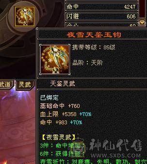 找沧海  6神满6体6属6命中6身法满8雕新雕文6带5面板吃了个5级火精华武镜100级时装幻世够用  神兽可以锁6