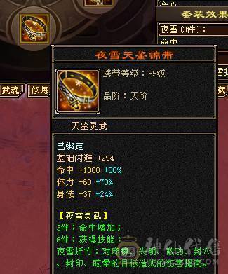 找沧海  6神满6体6属6命中6身法满8雕新雕文6带5面板吃了个5级火精华武镜100级时装幻世够用  神兽可以锁6