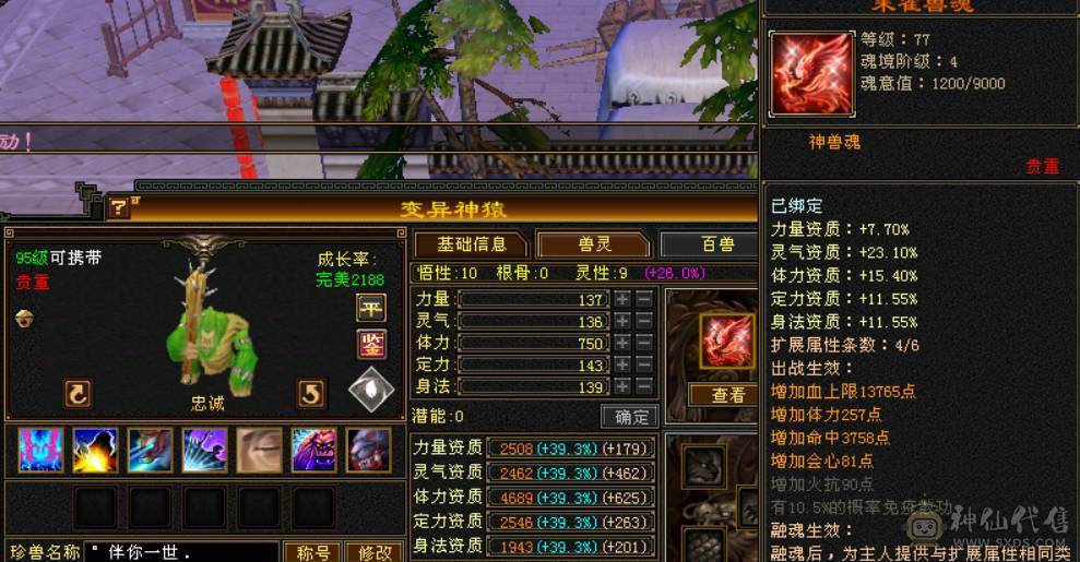 6体6属三修逍遥  卖个硬件钱 