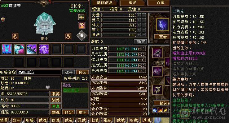 90整套装峨眉19W血