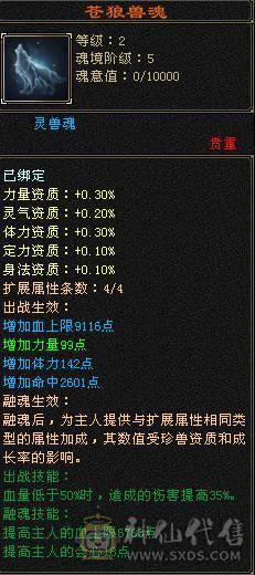 90整套装峨眉19W血