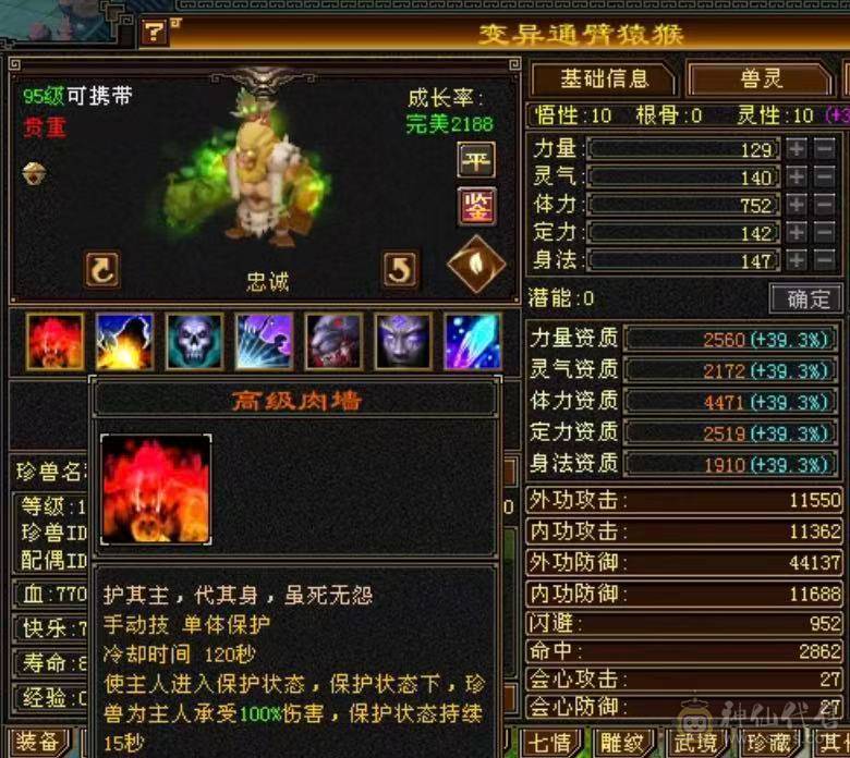 高血冰火双抗，新雕文满5、玄武外观、5神