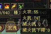 晴天推荐：满六双修双抗713冰抗 747火炕 可转少林 6T6属6抗6命中 满8雕文 带红熊王