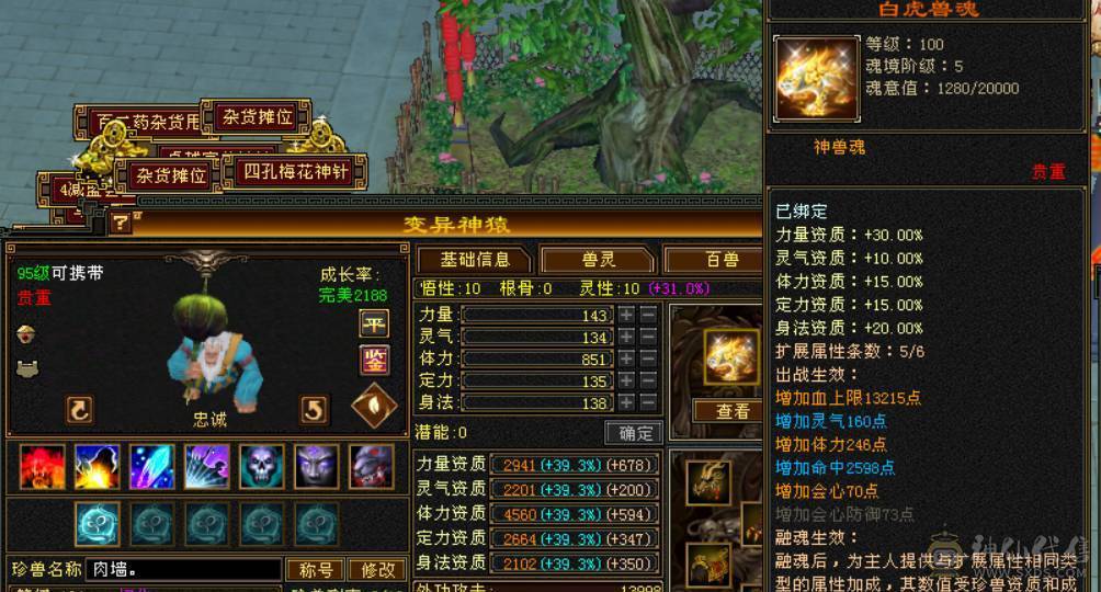 晴天推荐：满六双修双抗713冰抗 747火炕 可转少林 6T6属6抗6命中 满8雕文 带红熊王