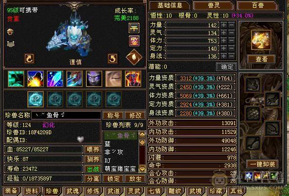 输出爆炸 四修四减万属  5神 73W血 带4只双十和一对没生的巧巧宝宝