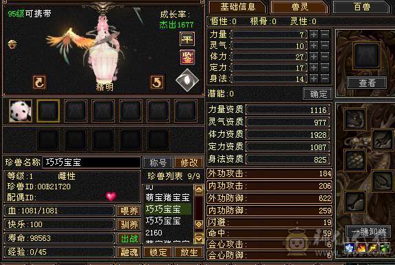 输出爆炸 四修四减万属  5神 73W血 带4只双十和一对没生的巧巧宝宝