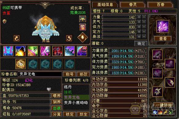 新鲜出炉全服最便宜6神 已圆梦 20件稀有时装 