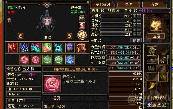 极限5级星宿逍遥  最强面板 细节拉满