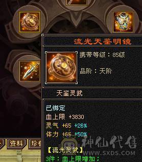 <晚晚推荐>怀旧独一份金甲永久金翅膀骨翼
