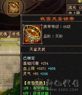 <晚晚推荐>怀旧独一份金甲永久金翅膀骨翼