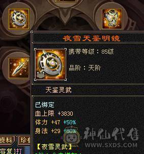 冰火玄三修极限满六 雕纹8 神兽五阶100级。带断桥残雪。无敌丹。到手0投资就是干