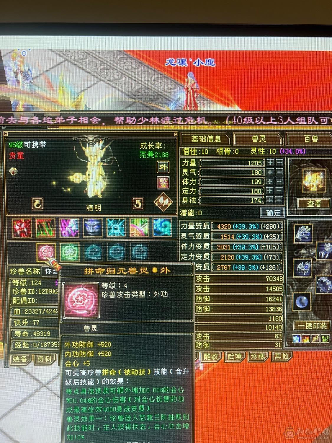 退游，带全部，就是帅，宝宝值6.7百