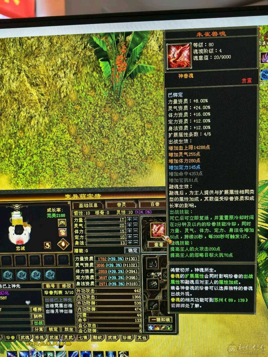 火气武当！充值，消费全满！