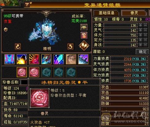 高血双抗、5神、新背饰、玄武外观