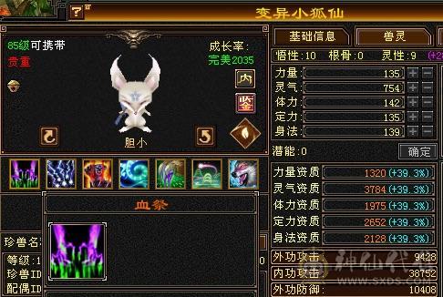 高血双抗、5神、新背饰、玄武外观