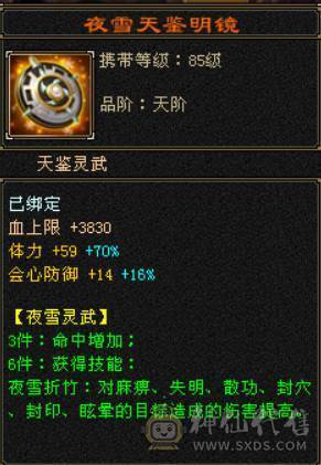 （梳子推荐）🔥急出🔥修天龙 冰天龙  6体6属性 带7 新背饰 仓库还有绑定宝石 