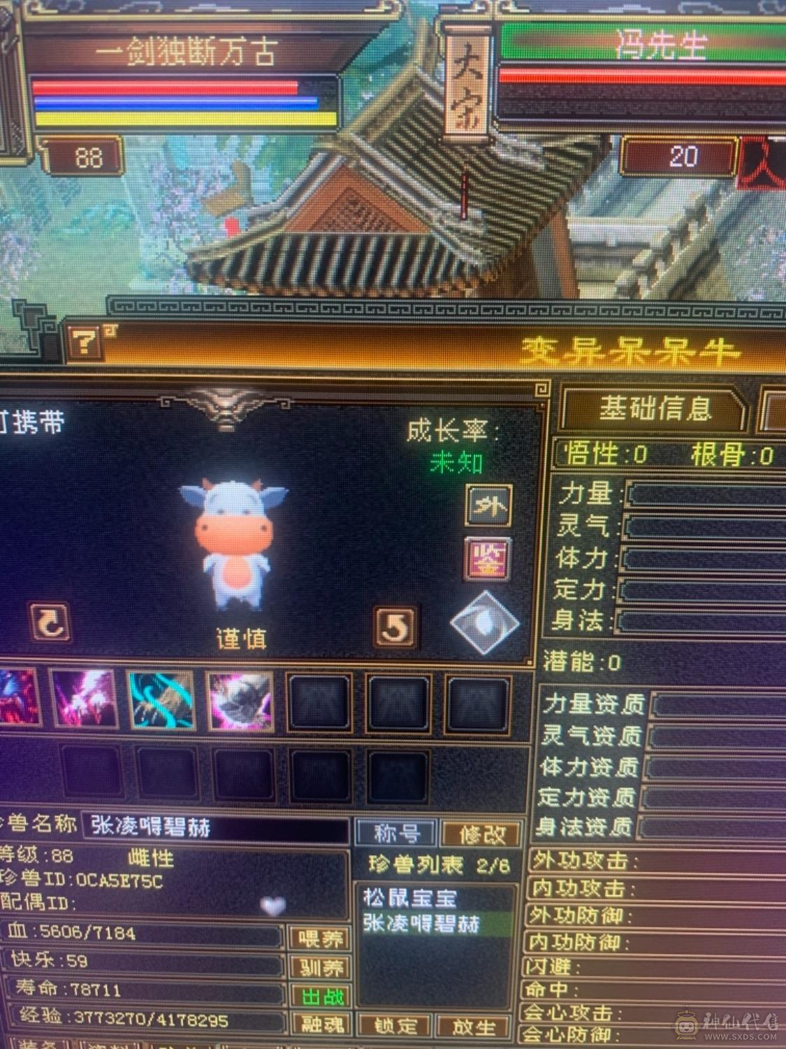 一个账号 二个角色
