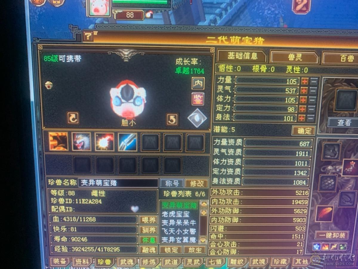 一个账号 二个角色