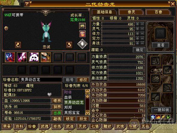 安然推荐  细节四修大天龙  高攻 高抗  裸面板 全带 性价比高  喜欢的别错过