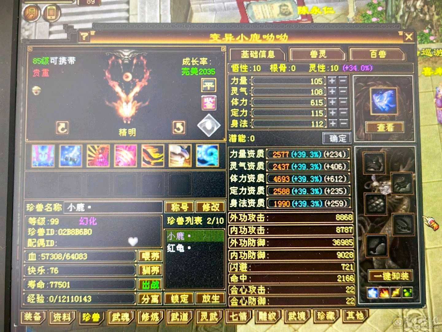 阿伟推荐:80卡级小武当极限5出了减抗，全部5级7雕文带8，带1个6体，高内功细节，时装多多