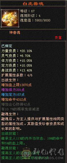 6级血量大毒抗杂抗