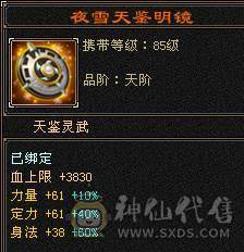 戴叶推荐--精品5带6高减抗天山