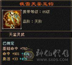戴叶推荐--精品5带6高减抗天山