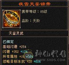 戴叶推荐--精品5带6高减抗天山
