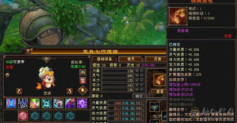 帅气小星宿