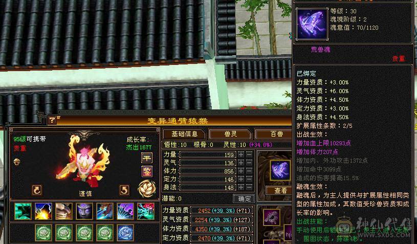 帅气小星宿