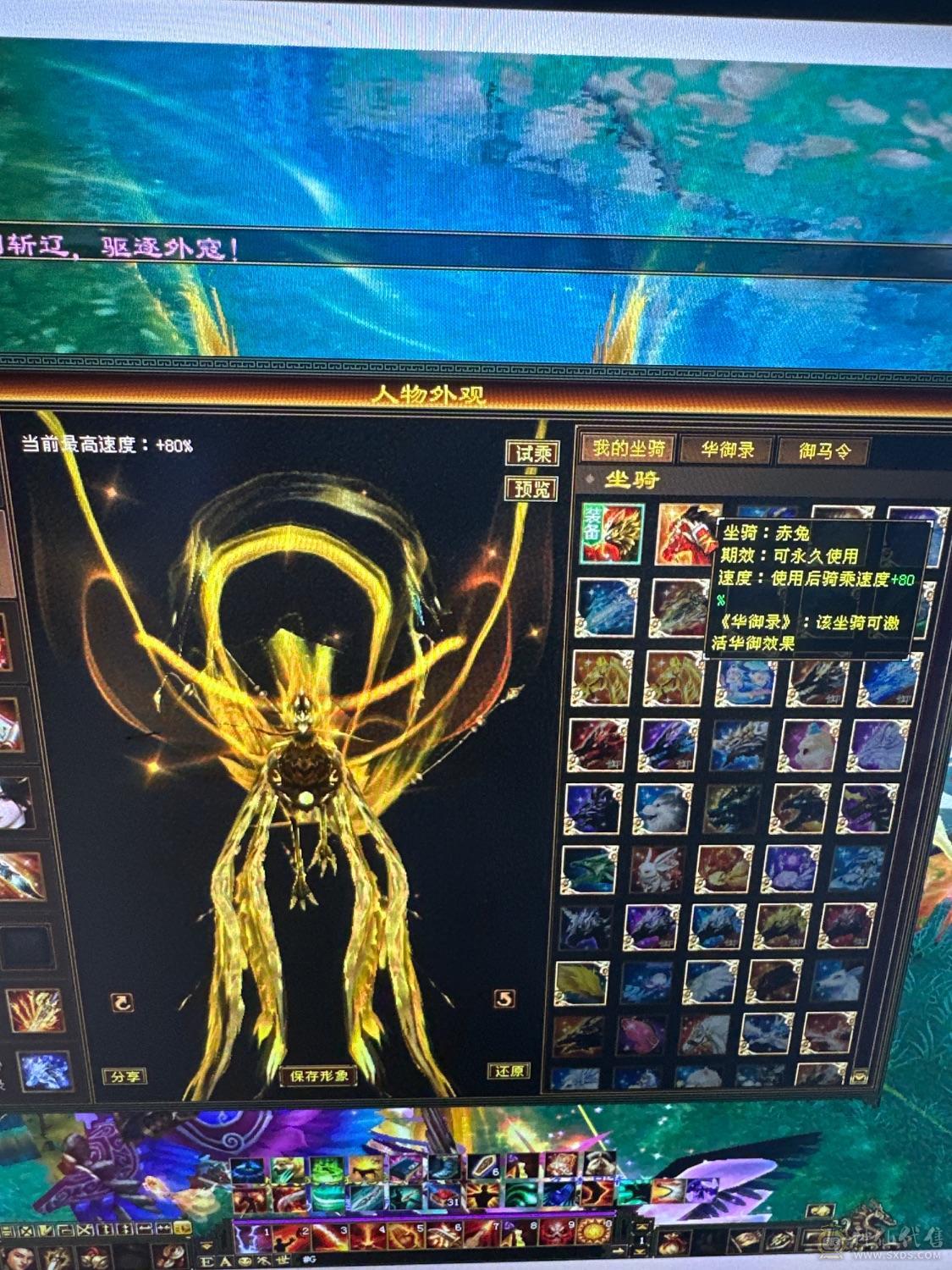 外观高心高血