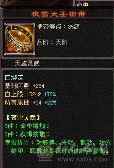 🌹温暖推荐🌹5级小星宿-副本轻松过-困难副本无压力-裸面板！