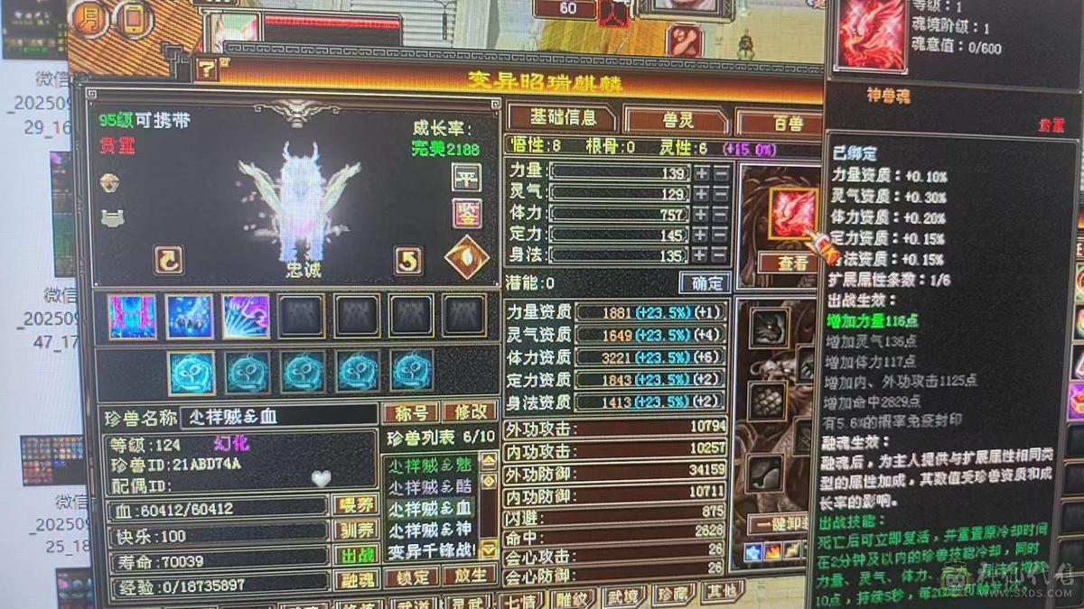 三修6体6属火逍遥5阶过半神兽(8700多点带2个1玠朱雀）