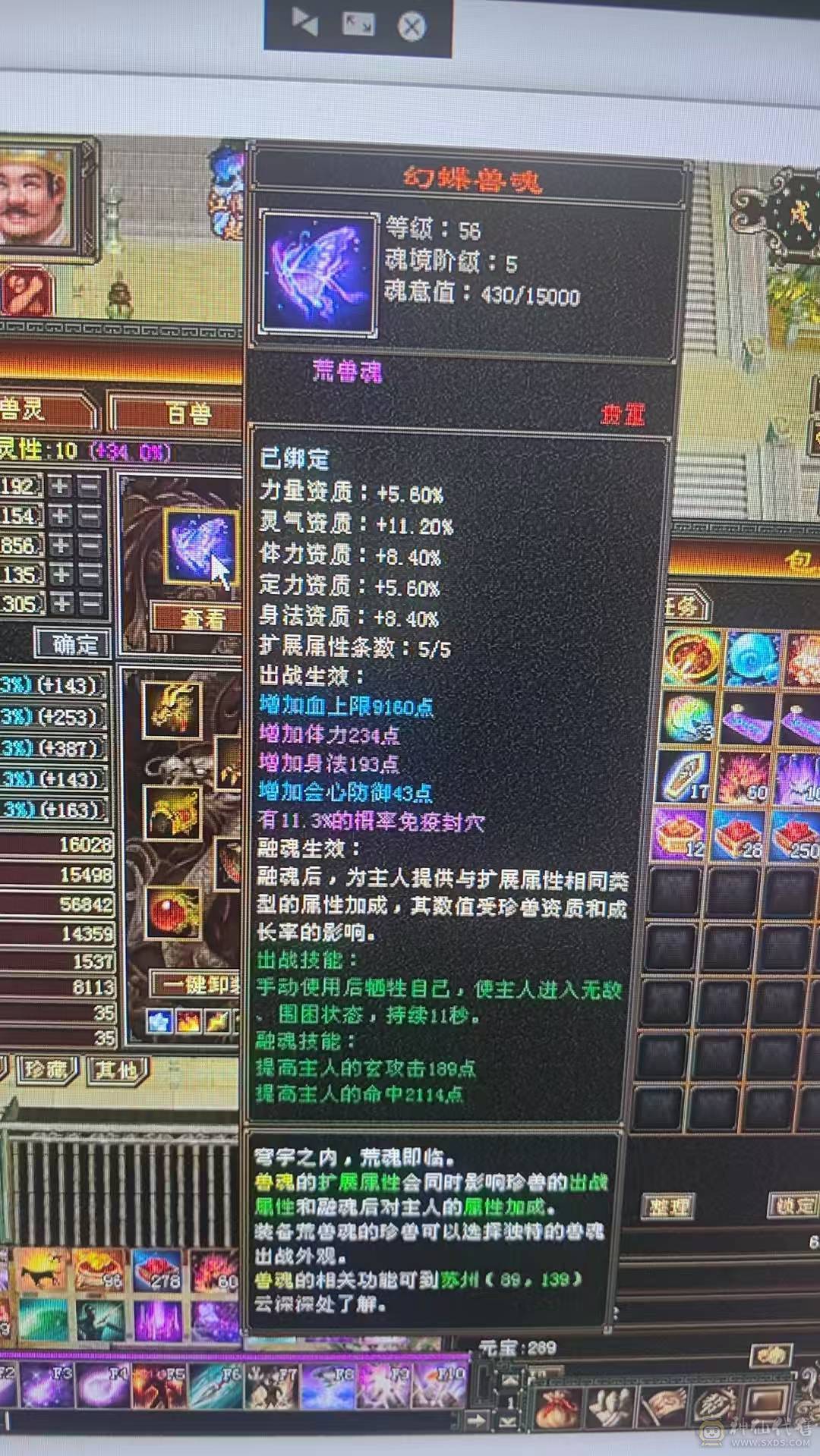 三修6体6属火逍遥5阶过半神兽(8700多点带2个1玠朱雀）