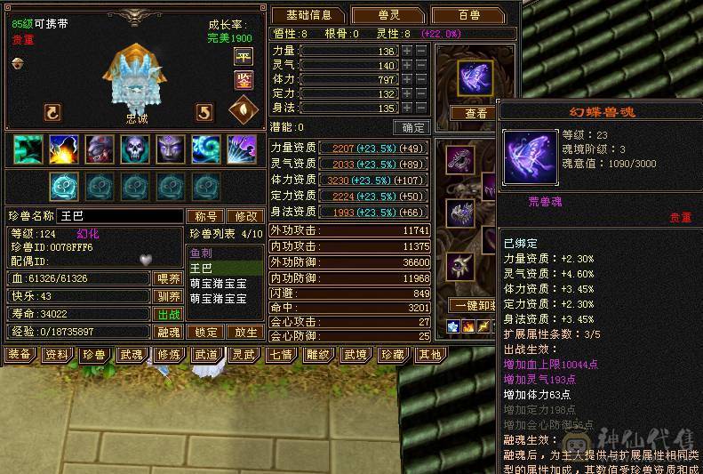 双休多件稀有时装，外观好看性价比极高。