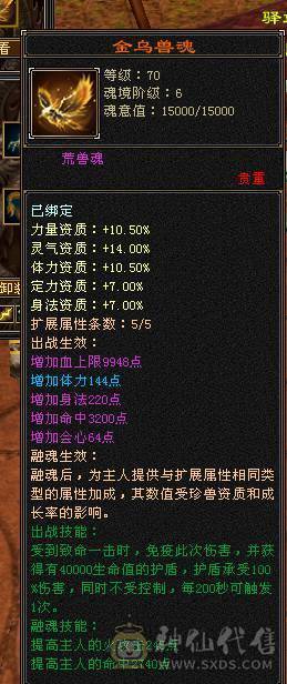极品6带7三修花瓶逍遥，骨翼，玄武幻魂，带不绑定龙隐时装，心络稳定更新，各种幻视武器
