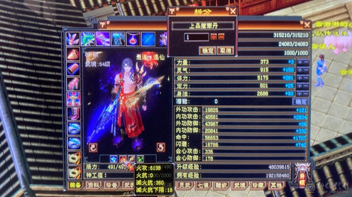 6级养老逍遥，带宝宝，这个价绝对赚，图上有的全带