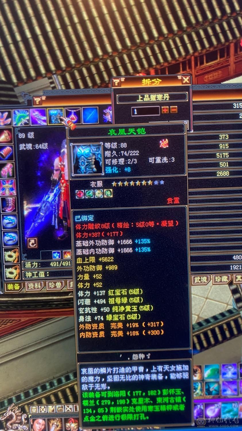 6级养老逍遥，带宝宝，这个价绝对赚，图上有的全带