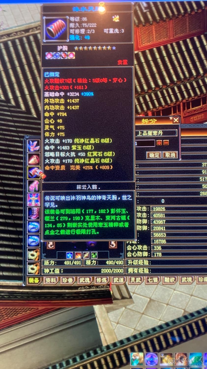 6级养老逍遥，带宝宝，这个价绝对赚，图上有的全带