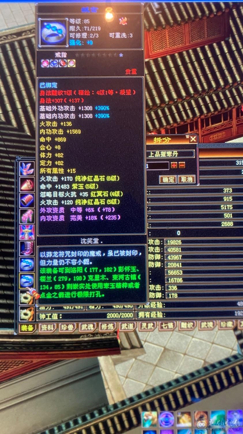 6级养老逍遥，带宝宝，这个价绝对赚，图上有的全带
