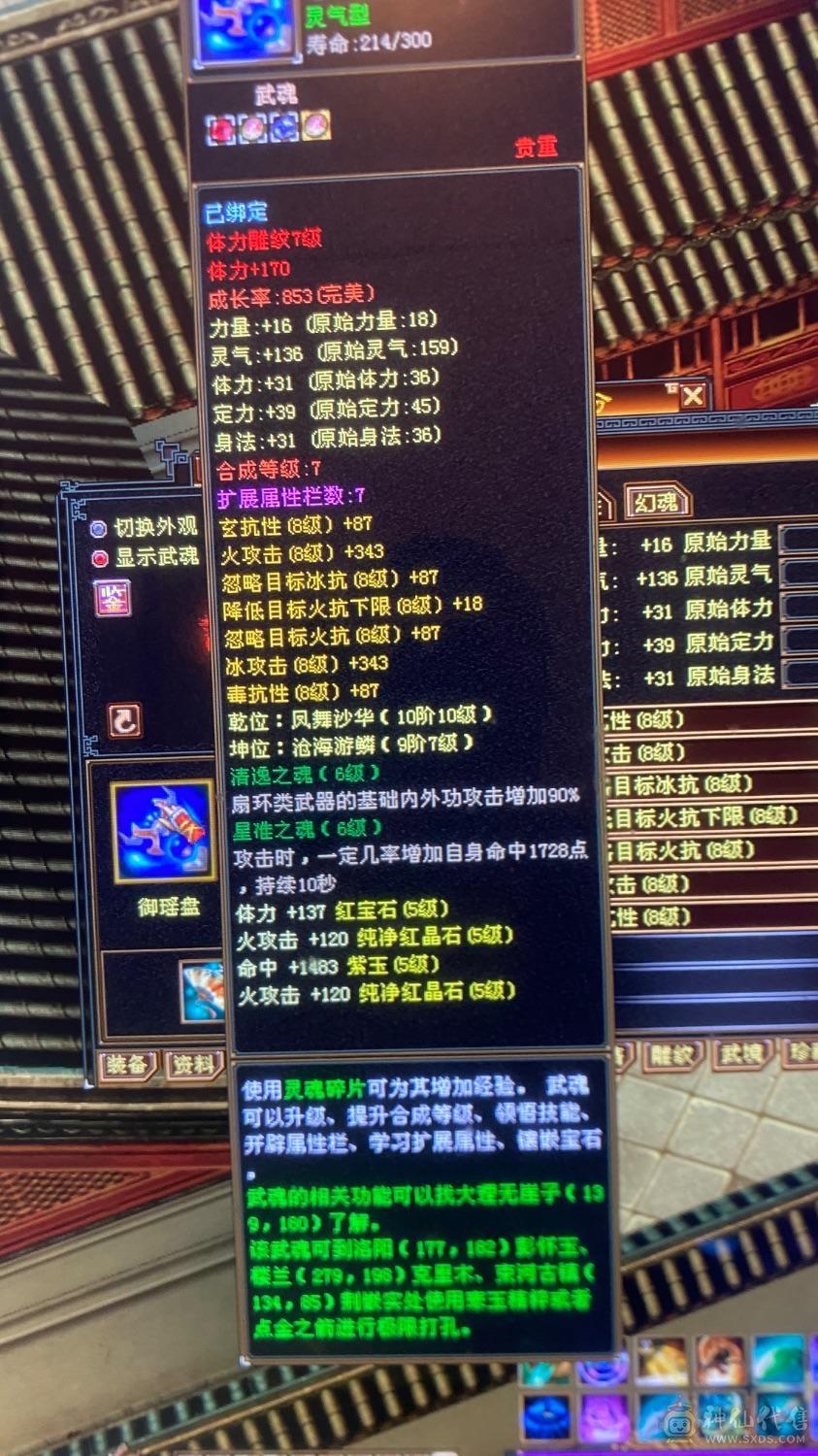 6级养老逍遥，带宝宝，这个价绝对赚，图上有的全带