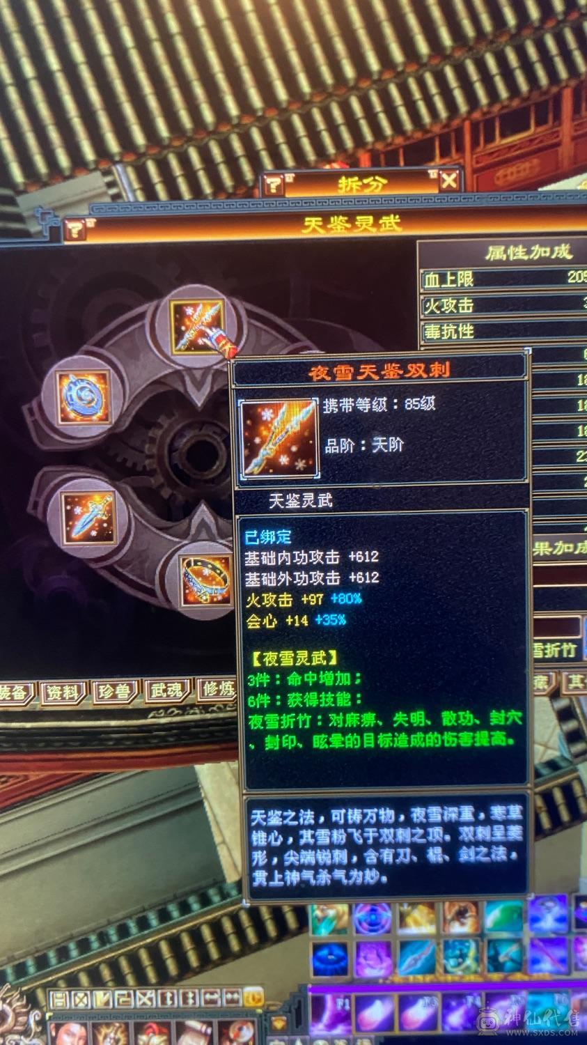 6级养老逍遥，带宝宝，这个价绝对赚，图上有的全带