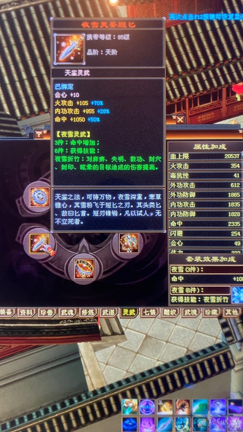 6级养老逍遥，带宝宝，这个价绝对赚，图上有的全带