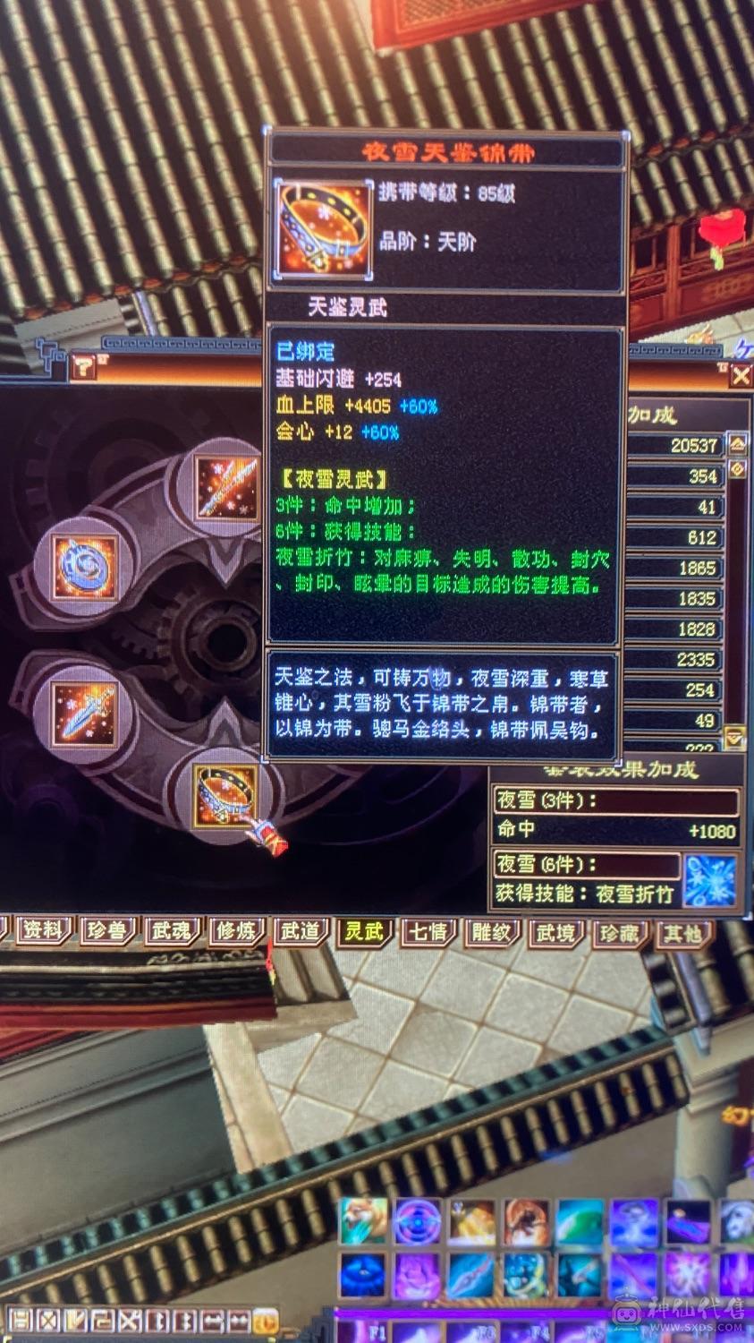 6级养老逍遥，带宝宝，这个价绝对赚，图上有的全带