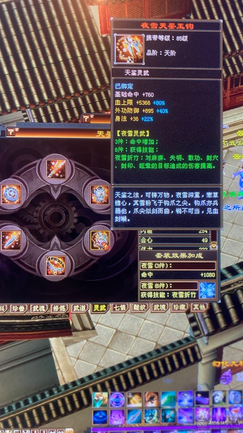 6级养老逍遥，带宝宝，这个价绝对赚，图上有的全带