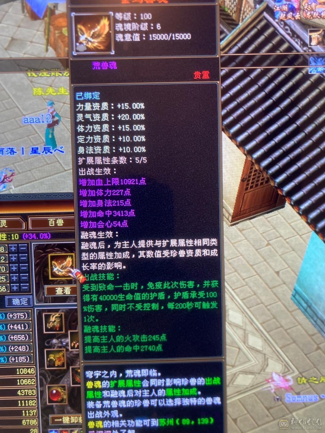 6级养老逍遥，带宝宝，这个价绝对赚，图上有的全带
