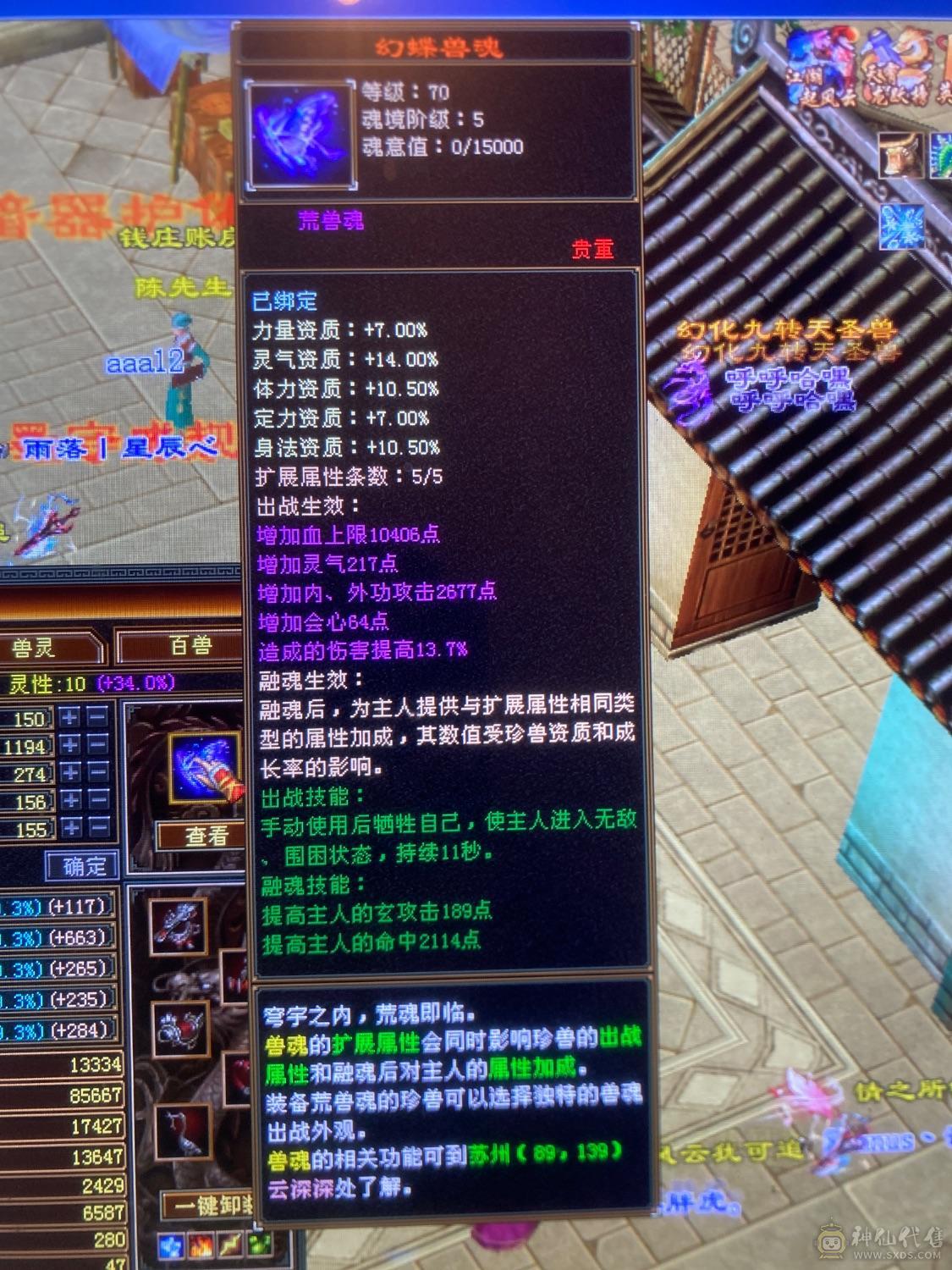 6级养老逍遥，带宝宝，这个价绝对赚，图上有的全带